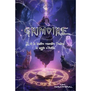 Grimoire : Là où la lumière rencontre l'ombre