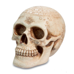 crane astrologique résine