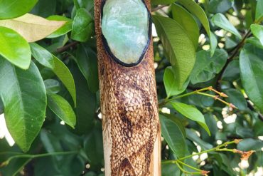 Occvlta – Exposante & Conférencière au Sabbat des Sorcières 2026