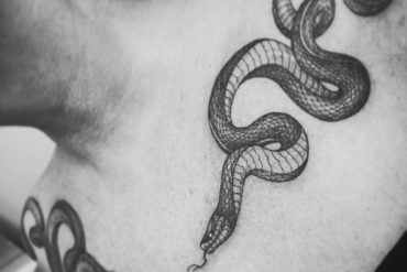 🐾 Amélie Raynaud – Ostéopathe animalier