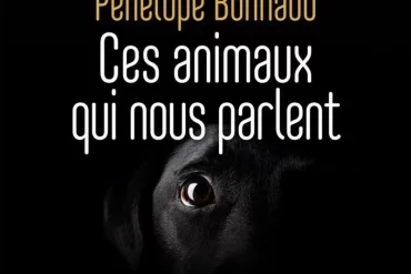 🌿 Les Murmures du Corps – Une bulle de reconnexion