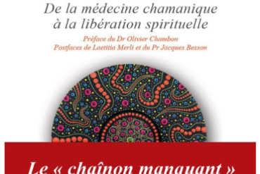 🌿 Stéphane Boistard – sagesse druidique et connexion au vivant