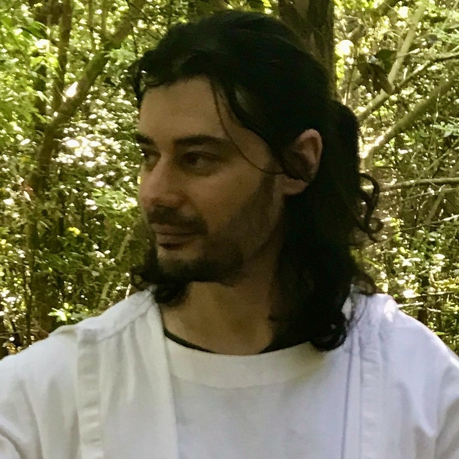 Nicolas Almand Alchimiste Druide